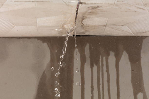 Professional Structural Drying technician working in Lexington, TX